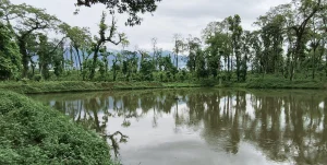 Tanahun taranga news