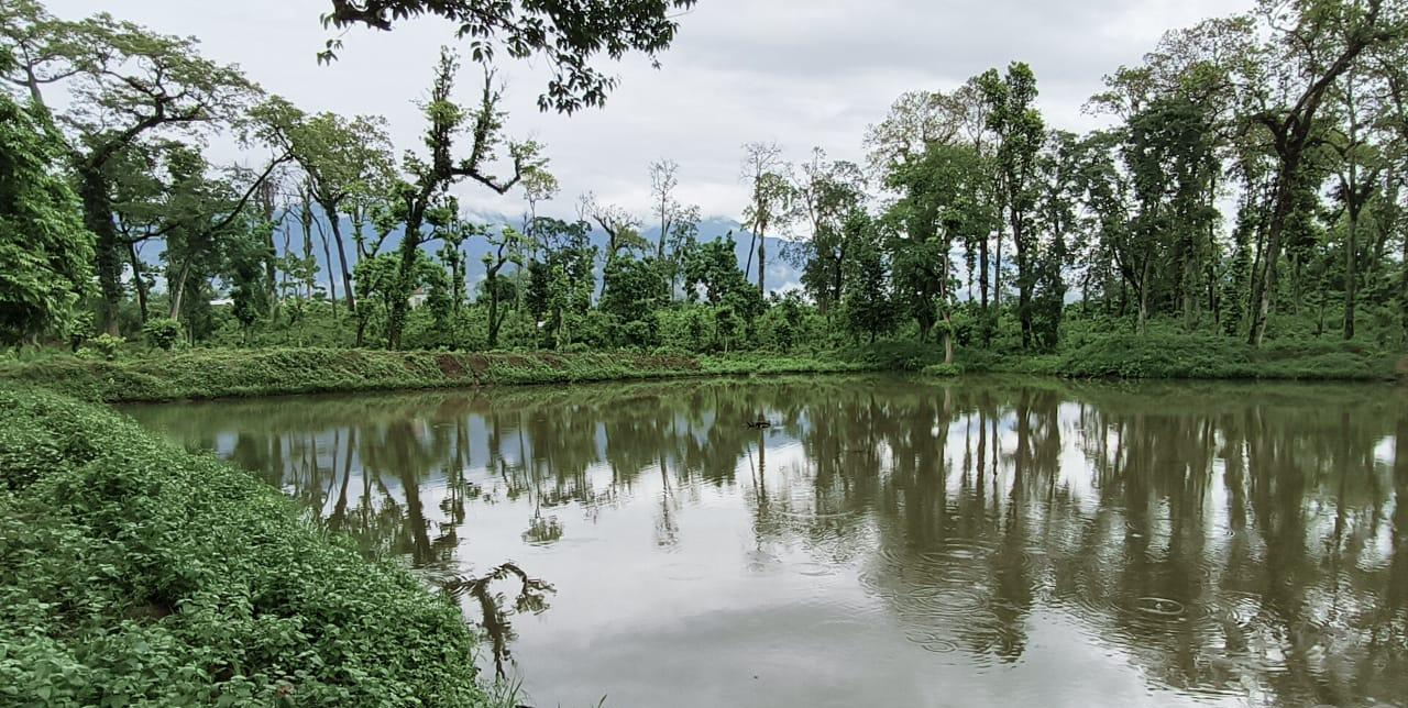 Tanahun taranga news