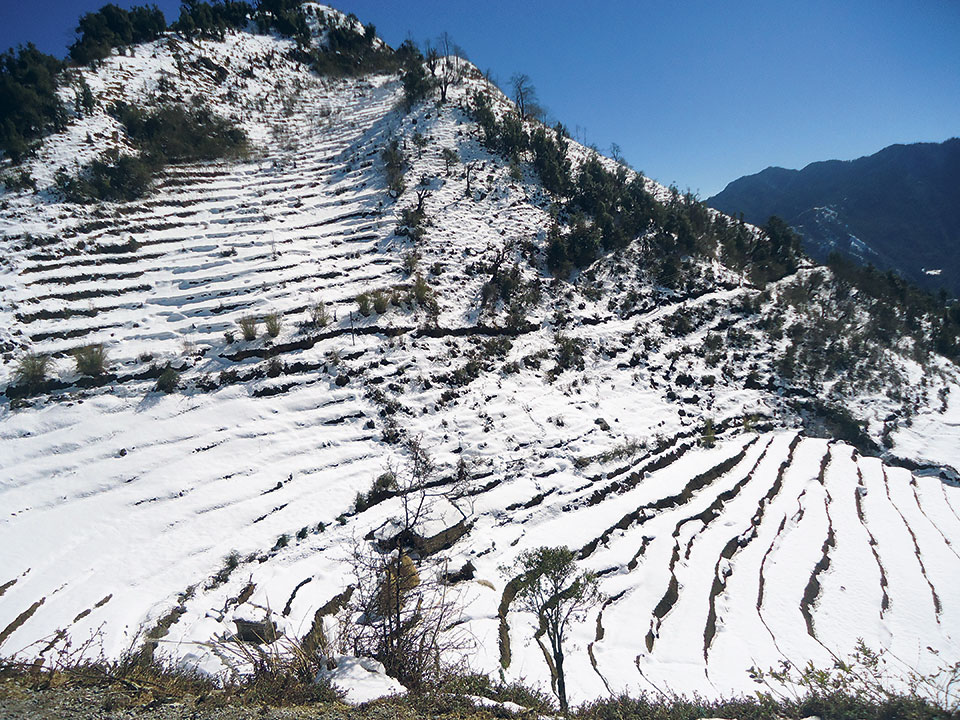 Tanahun taranga news