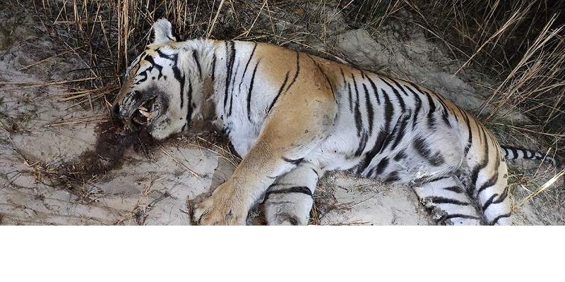 Tanahun taranga news