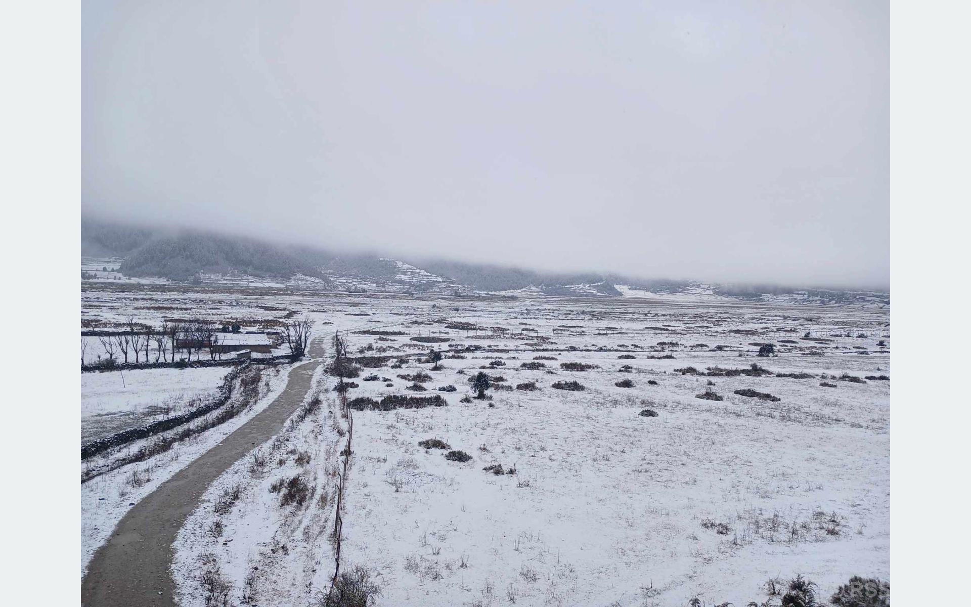 Snowfall in Dhorpatan affects life