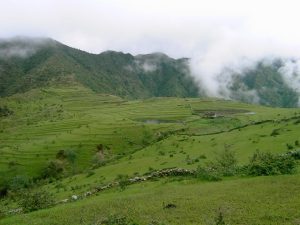 Tanahun taranga news