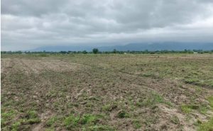 Tanahun taranga news