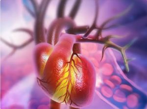 Tanahun Taranga news