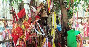 Tanahun taranga news