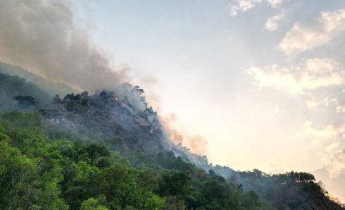 Tanahun taranga news