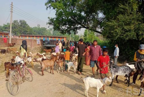 Tanahun Taranga news