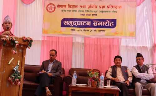 Tanahun taranga news