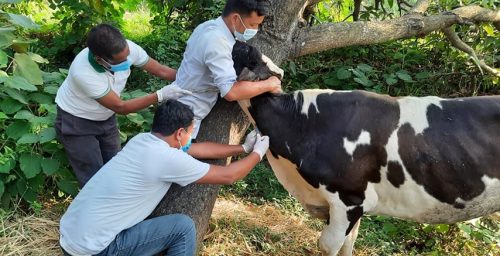 Tanahun taranga news