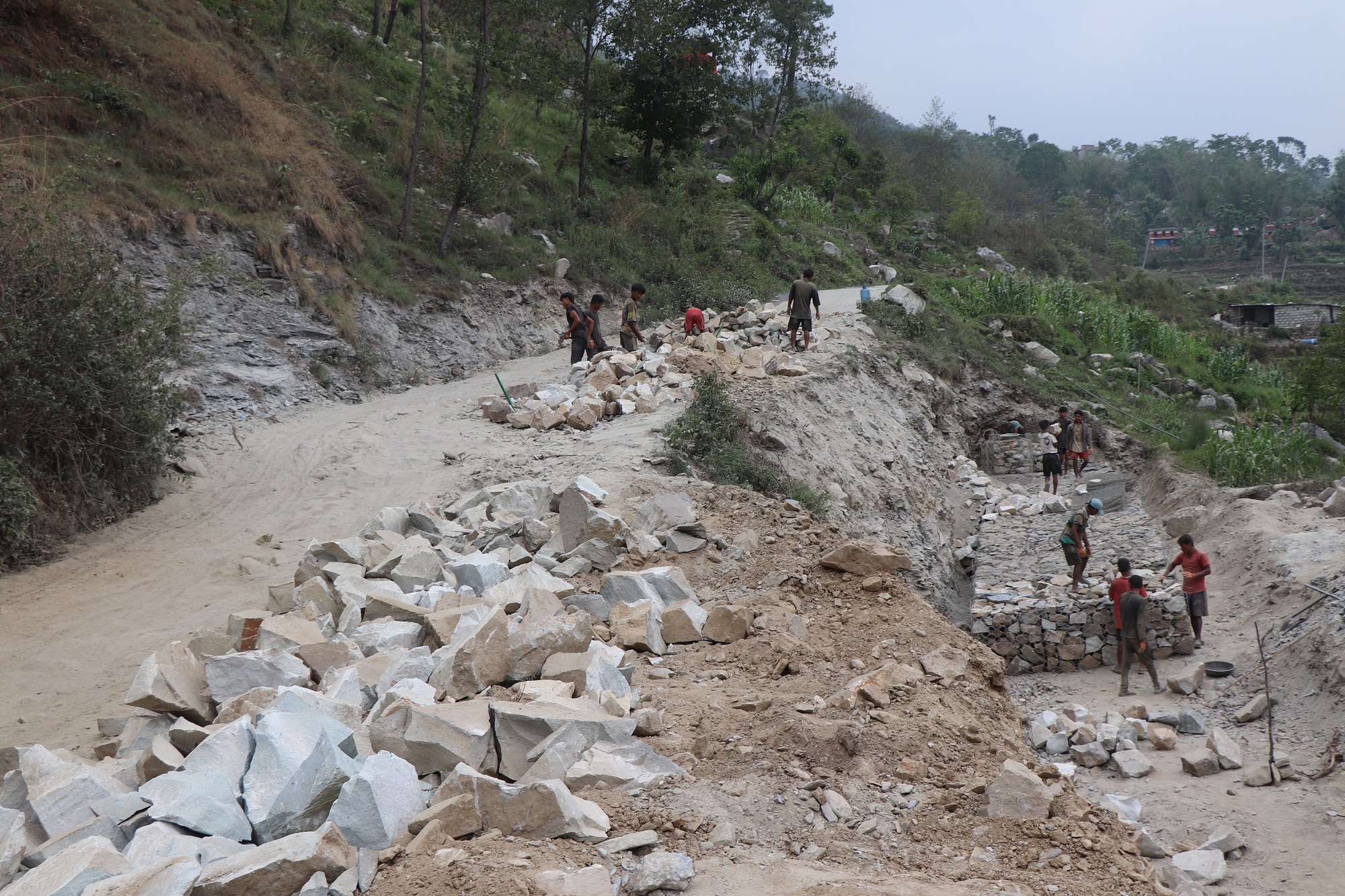 Tanahun taranga news