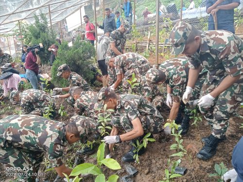 Tanahun Taranga news