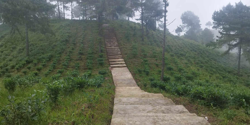Tanahun Taranga news