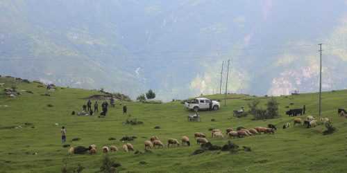 Tanahun Taranga news