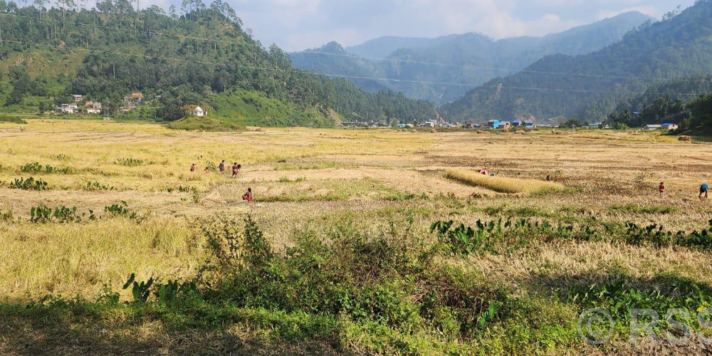 Tanahun Taranga news
