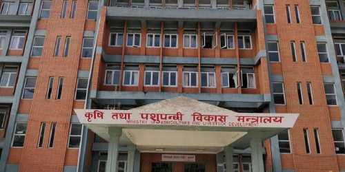 Tanahun taranga news