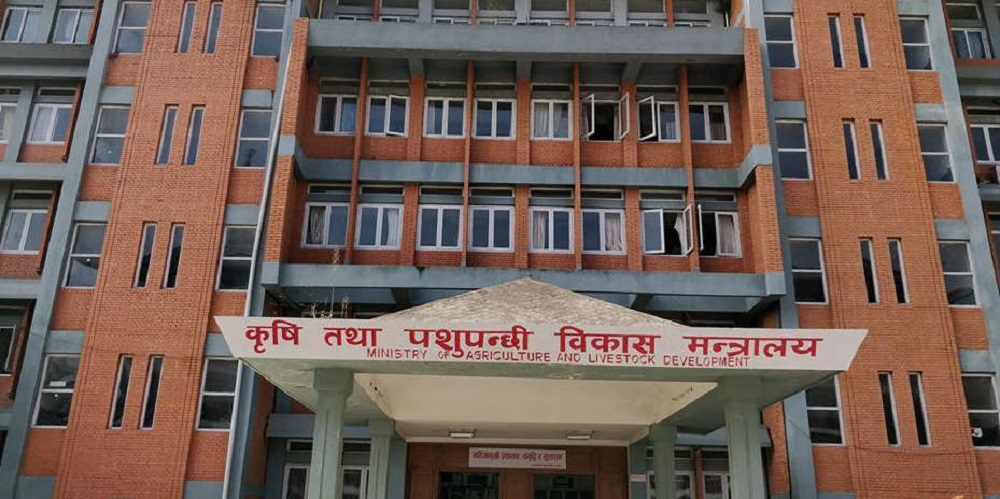 Tanahun taranga news