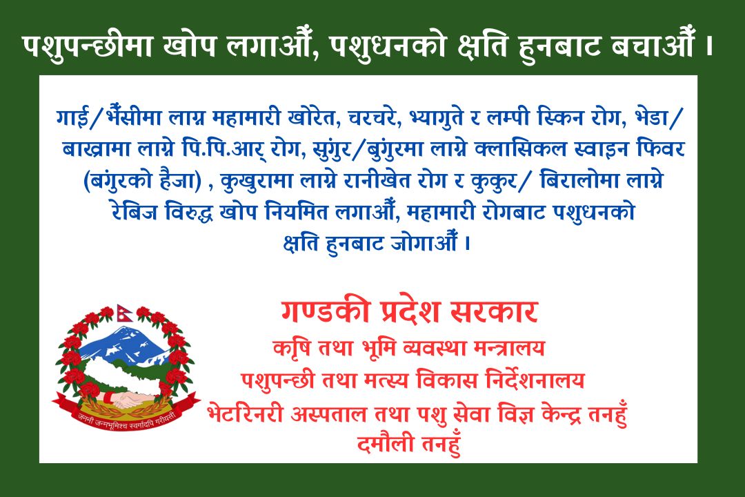 advertise with tanahun taranga news