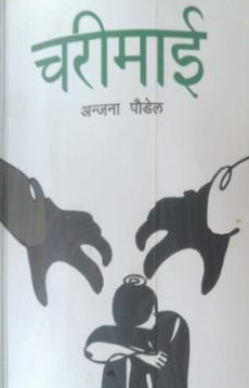 Tanahun Taranga news