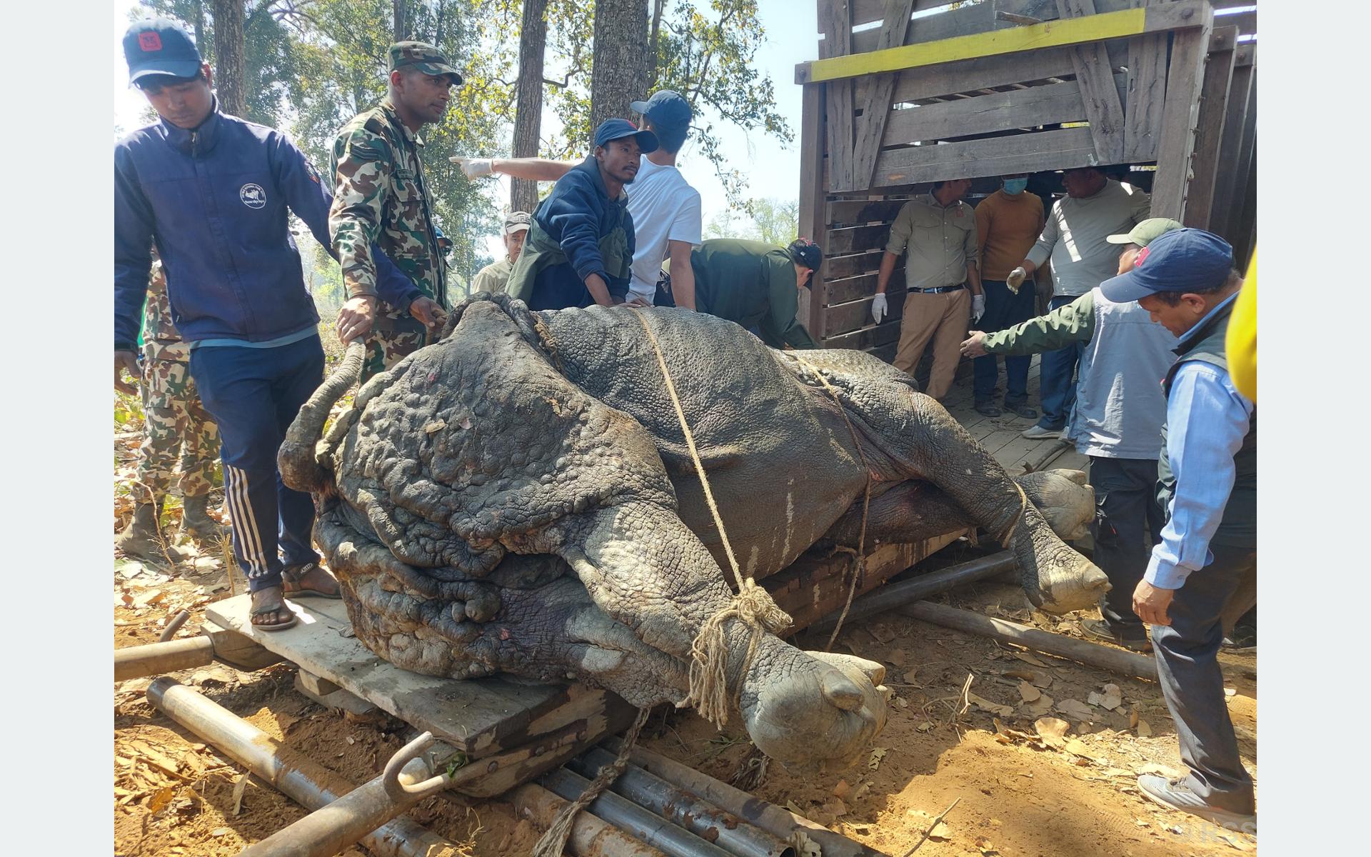 Tanahun Taranga news