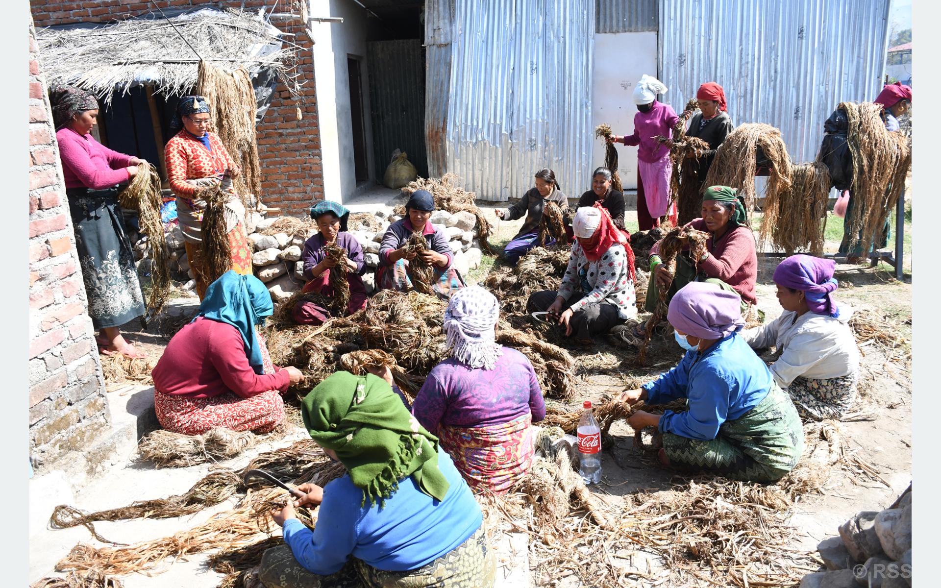 Tanahun Taranag news