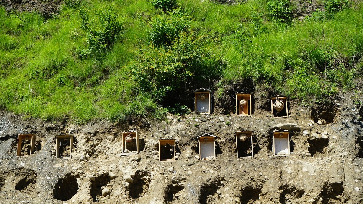 Tanahun Taranga news