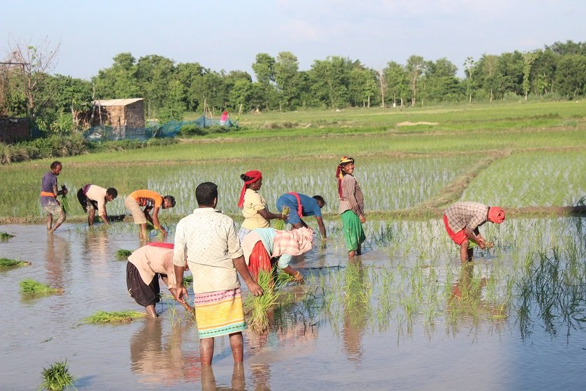 Tanahun Taranga news