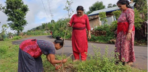 Tanahun taranga news