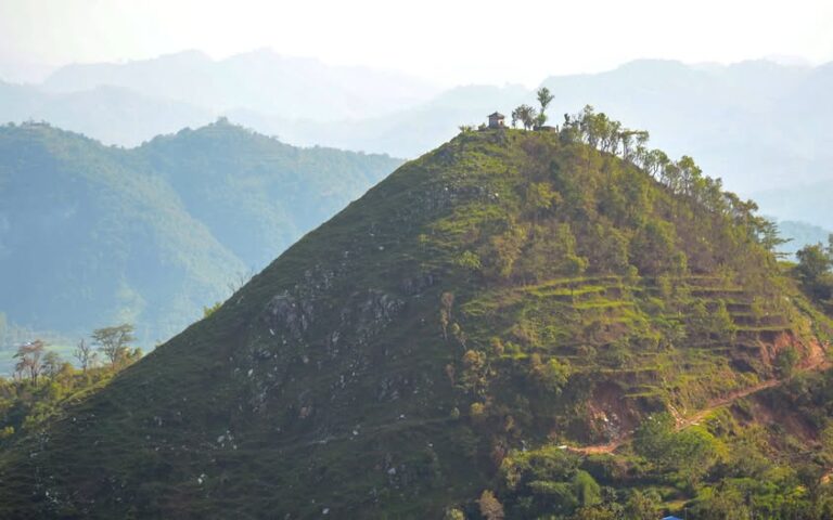 photo of the day tanahun taranga news