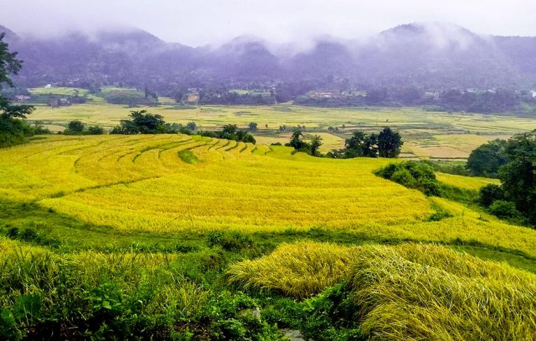 photo of the day tanahun taranga news
