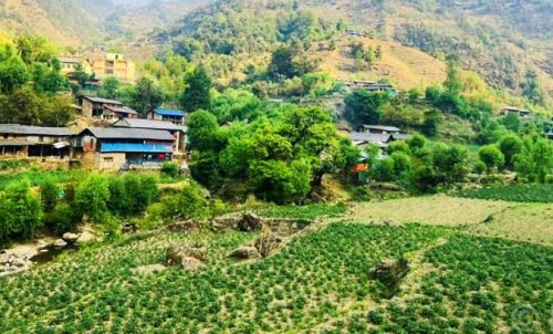 Tanahun Taranga media