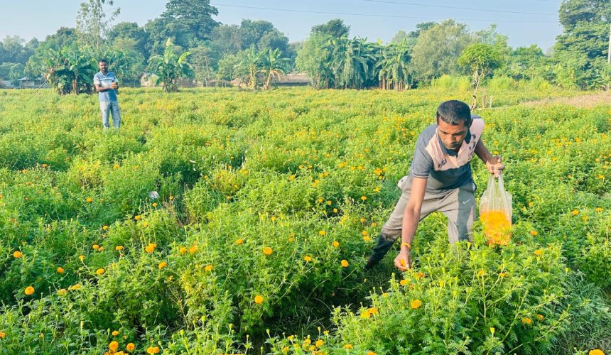 Tanahun taranga news