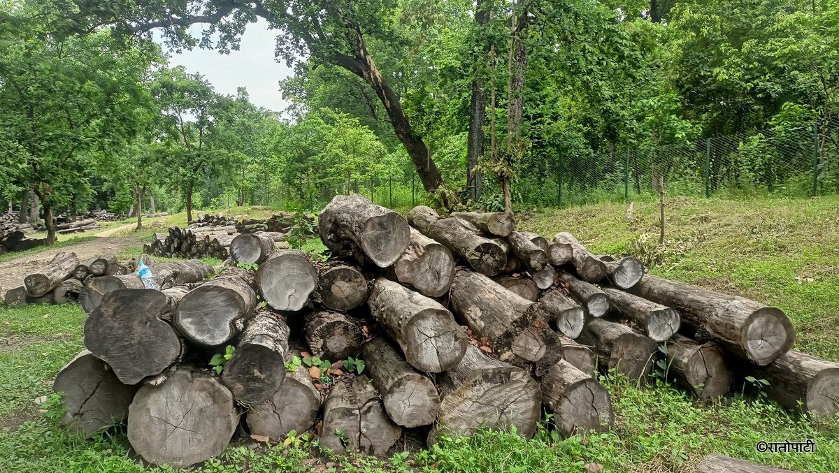 Tanahun Taranga news