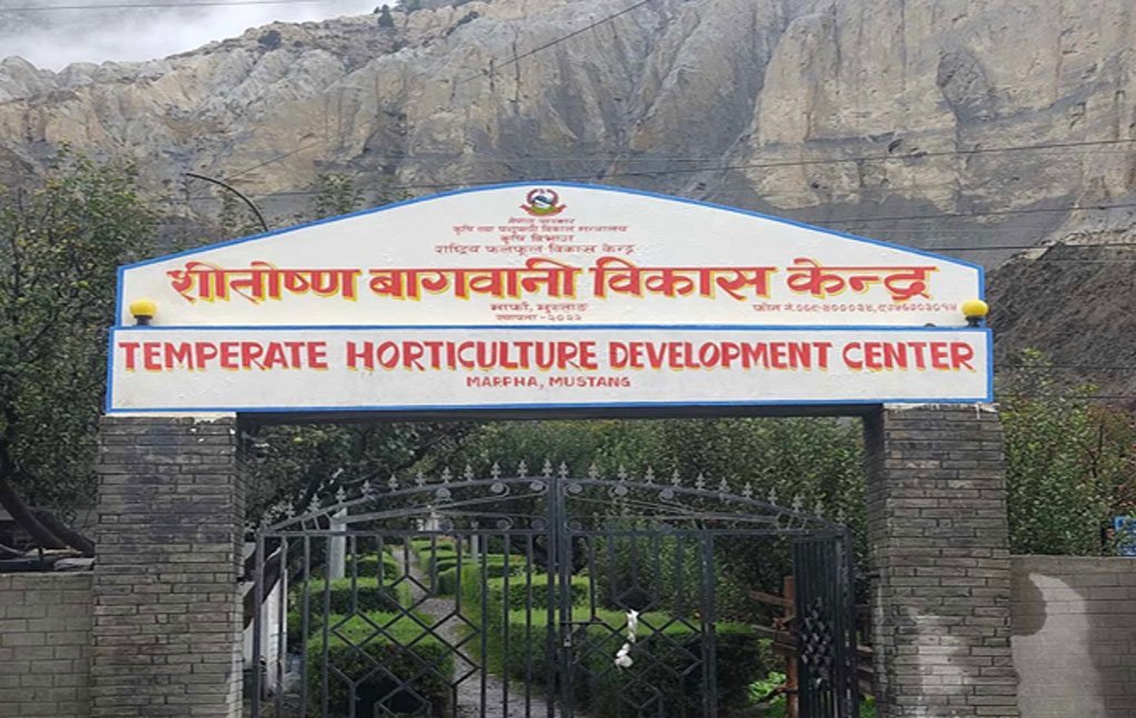 Tanahun Taranga news