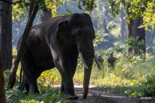 Tanahun Taranga news