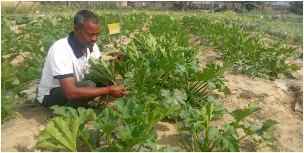 Tanahun Taranga media