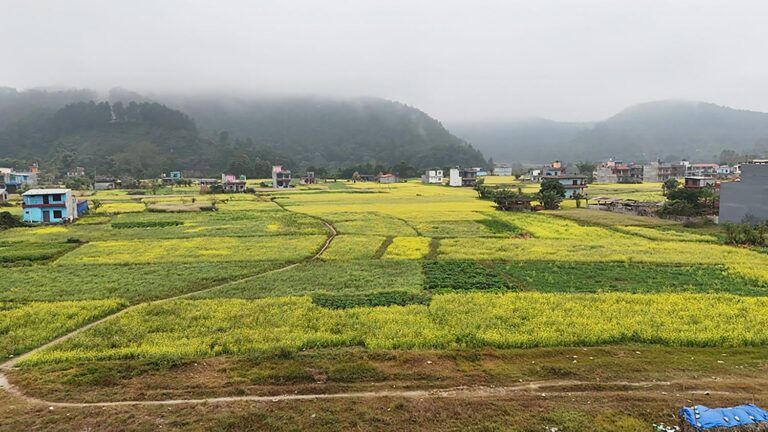 photo of the day tanahun taranga news