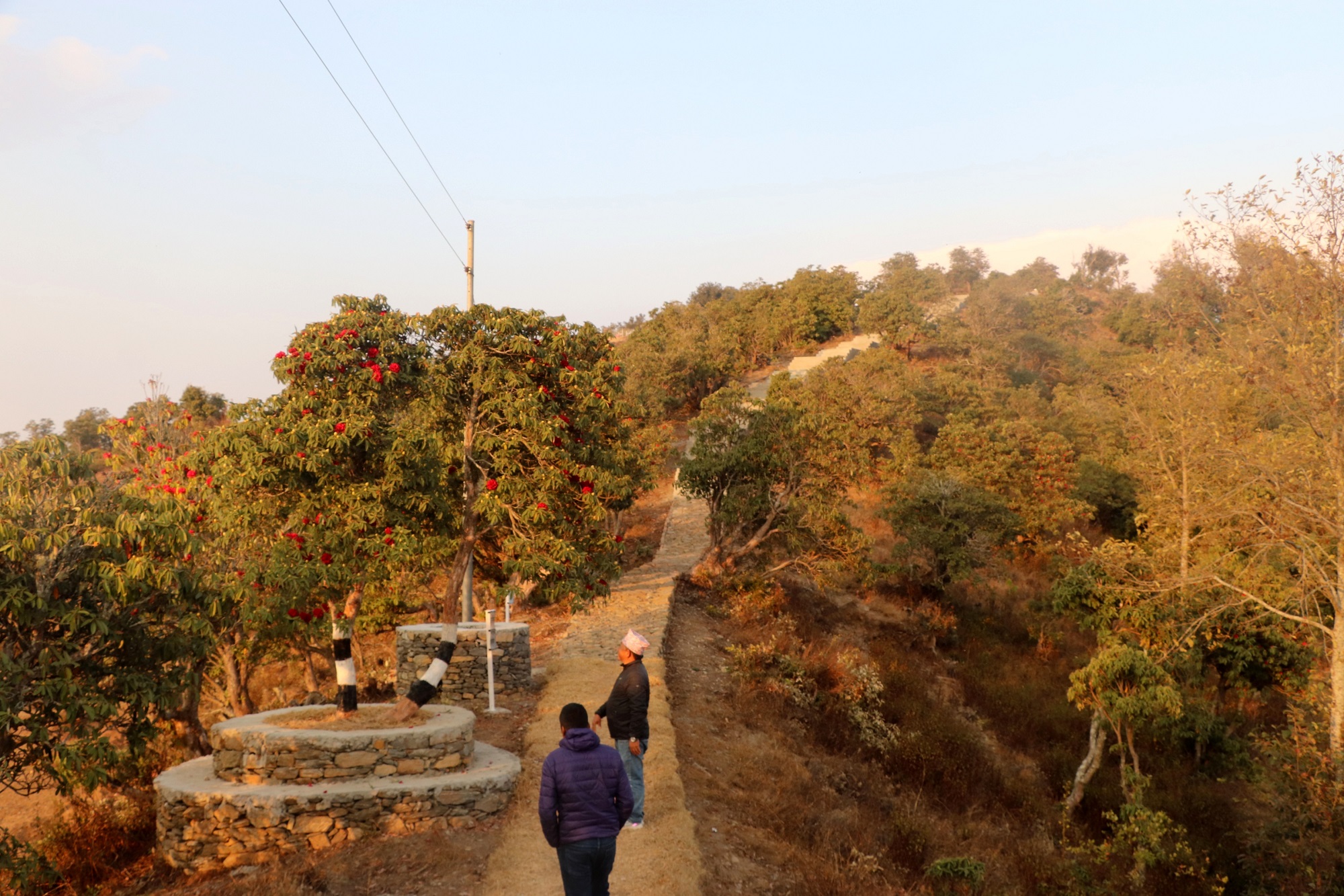Tanahun Taranga news